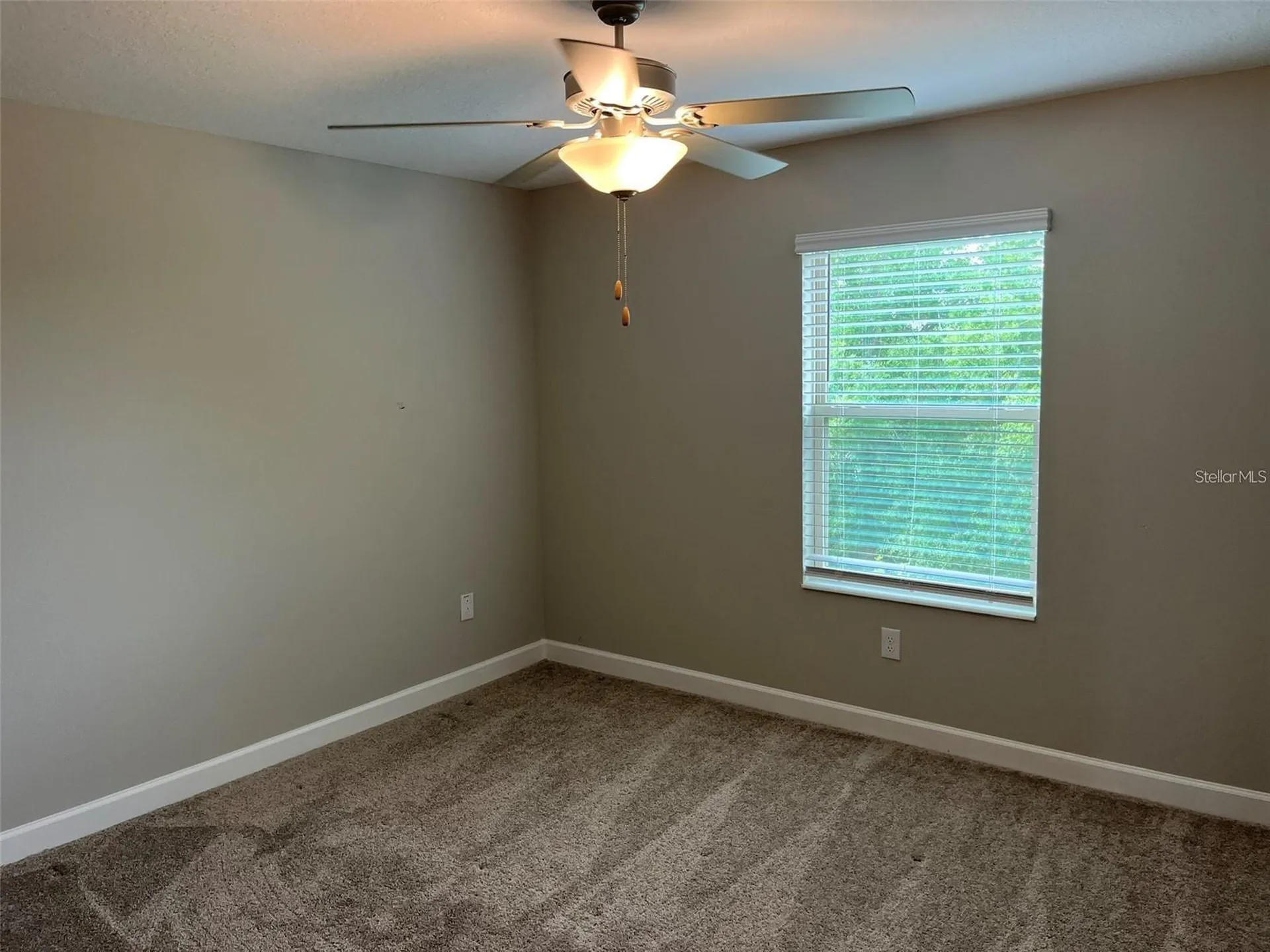1712 Roseville Street Lutz FL 33549