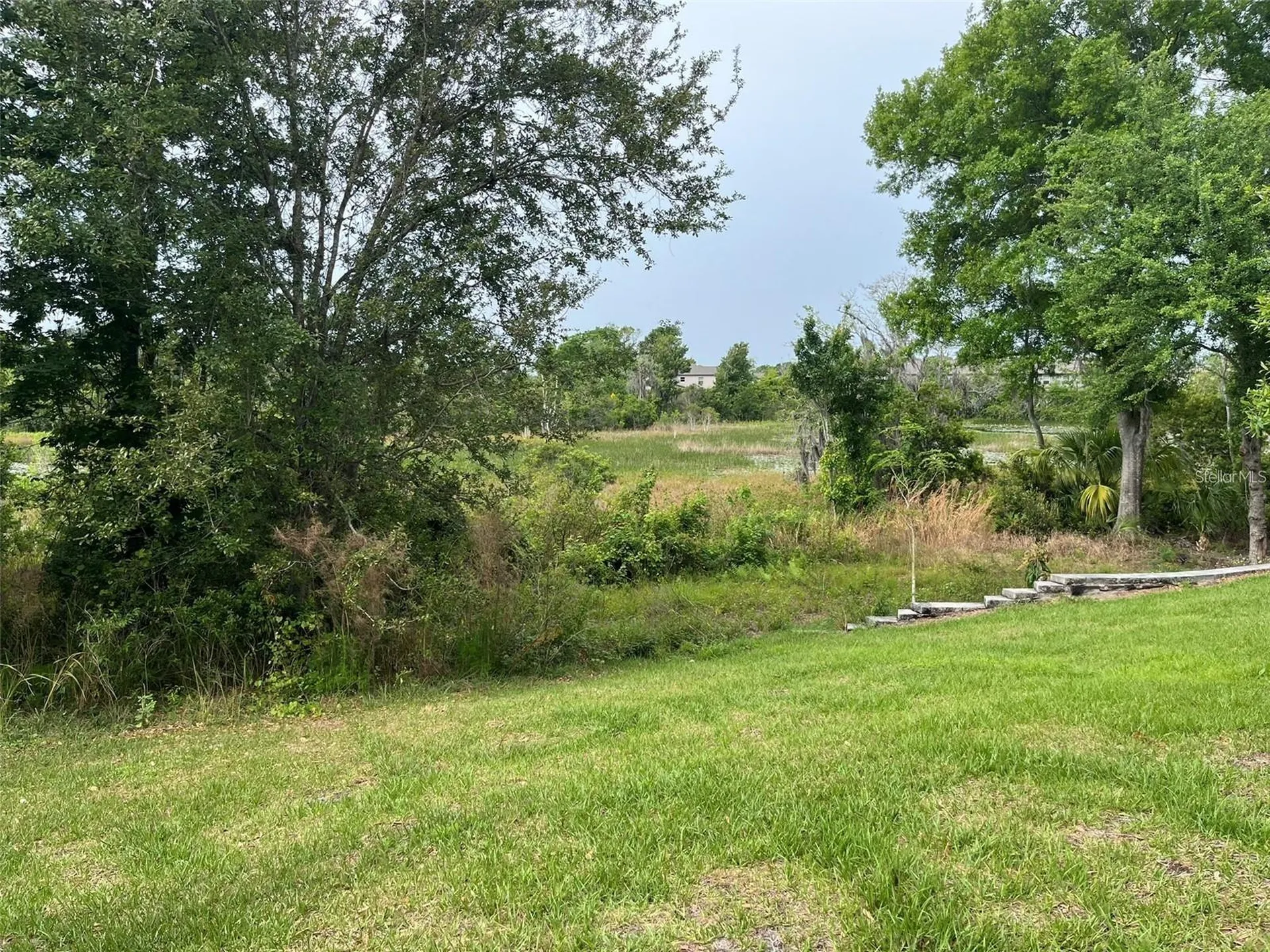 1712 Roseville Street Lutz FL 33549