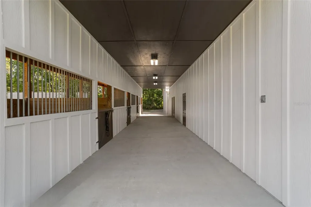 20005 NW 135th Avenue Micanopy FL 32667