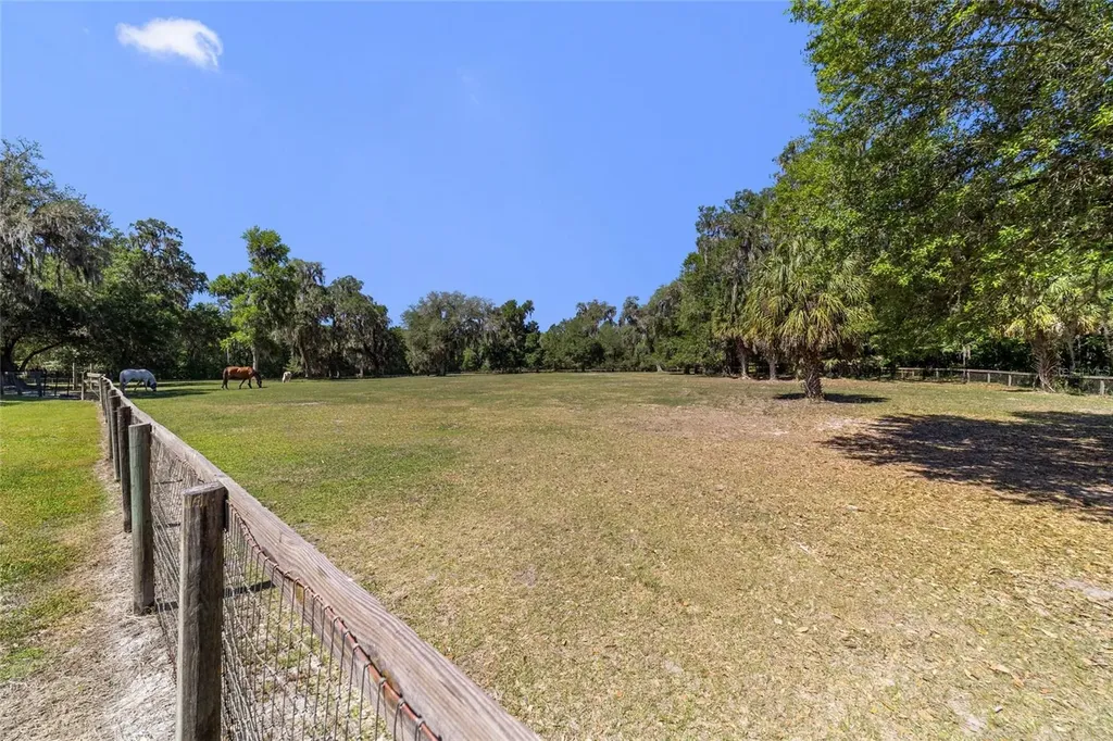 20005 NW 135th Avenue Micanopy FL 32667