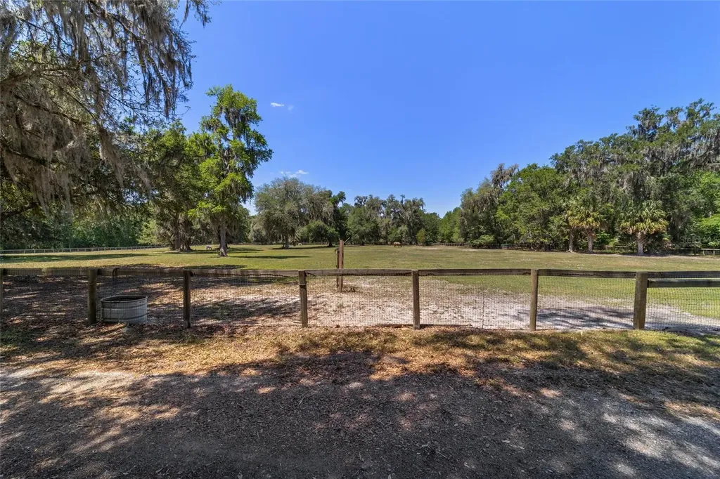 20005 NW 135th Avenue Micanopy FL 32667