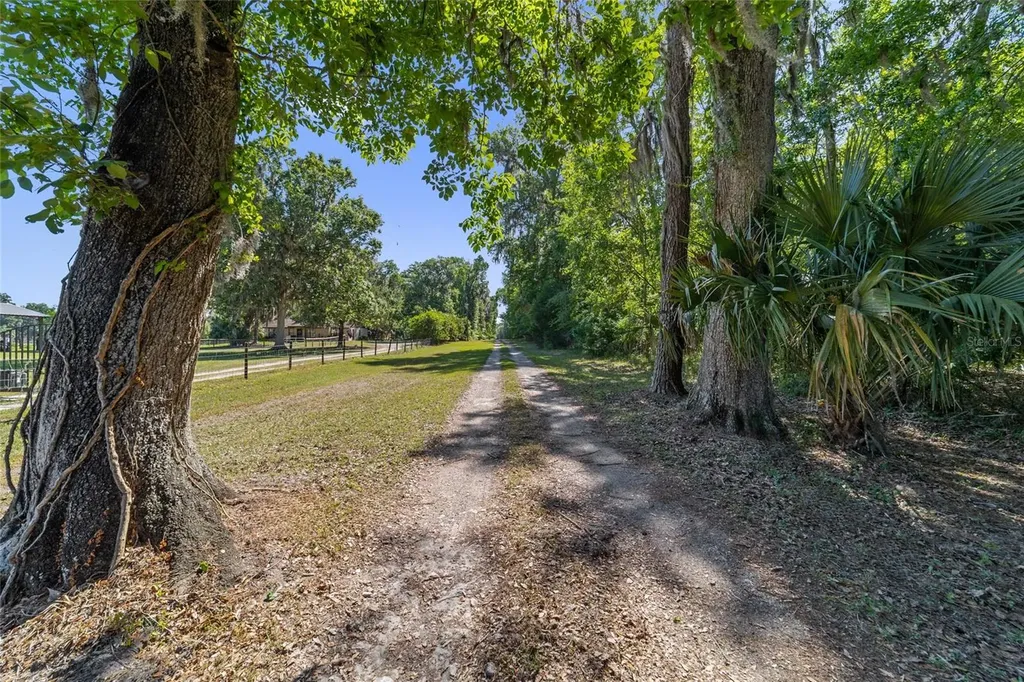 20005 NW 135th Avenue Micanopy FL 32667