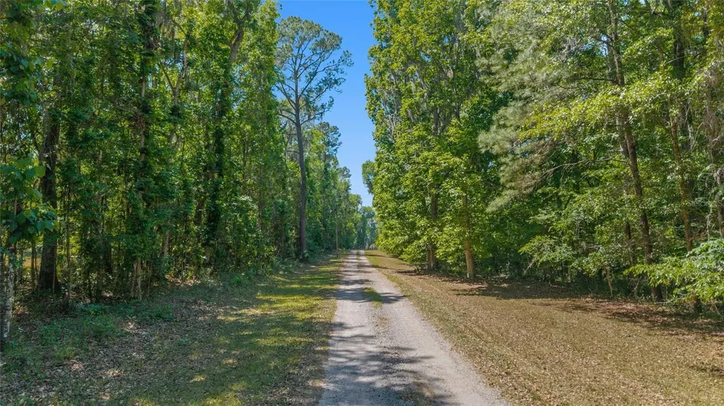 20005 NW 135th Avenue Micanopy FL 32667