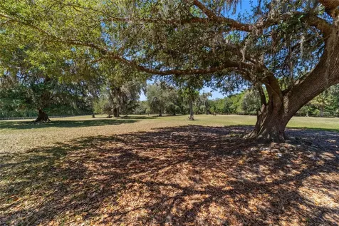 20005 NW 135th Avenue Micanopy FL 32667