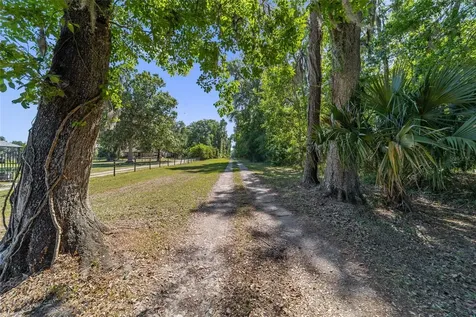 20005 NW 135th Avenue Micanopy FL 32667