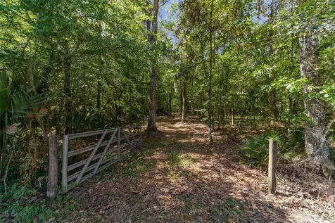 20005 NW 135th Avenue Micanopy FL 32667