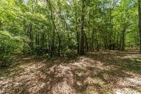 20005 NW 135th Avenue Micanopy FL 32667