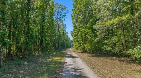 20005 NW 135th Avenue Micanopy FL 32667