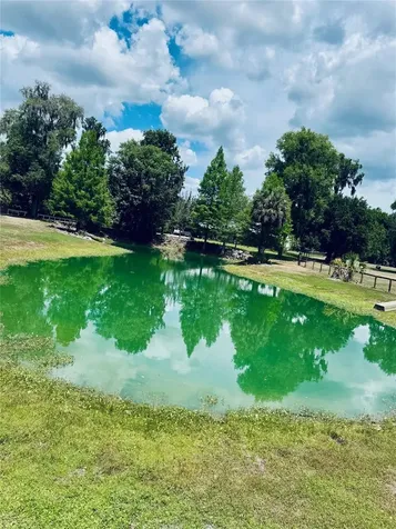20005 NW 135th Avenue Micanopy FL 32667