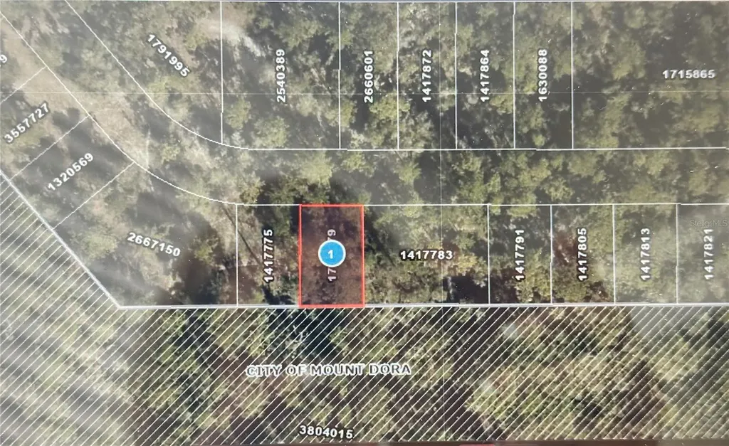 Lot 34 Wolf Branch Road Mount Dora FL 32757