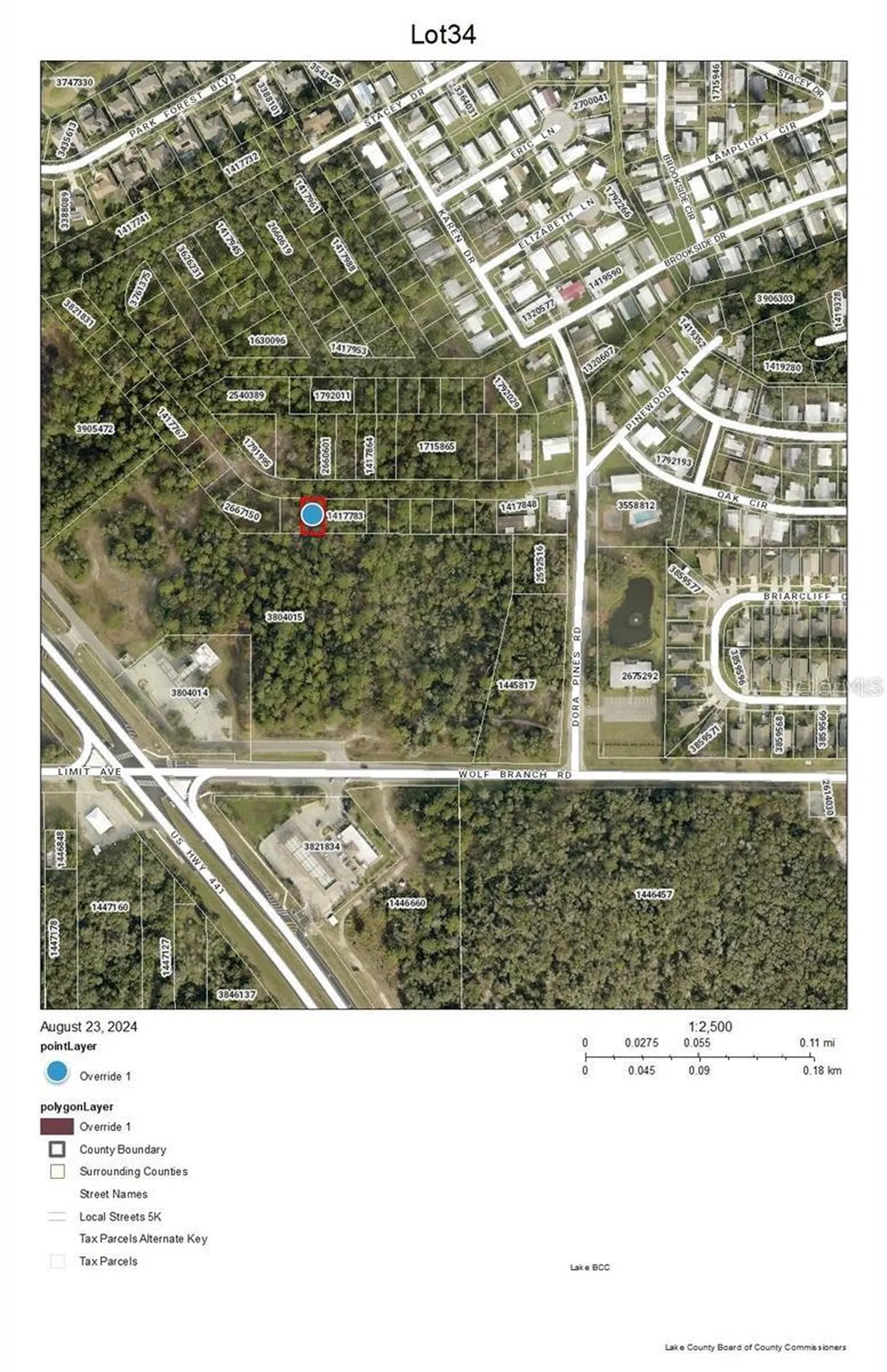 Lot 34 Wolf Branch Road Mount Dora FL 32757