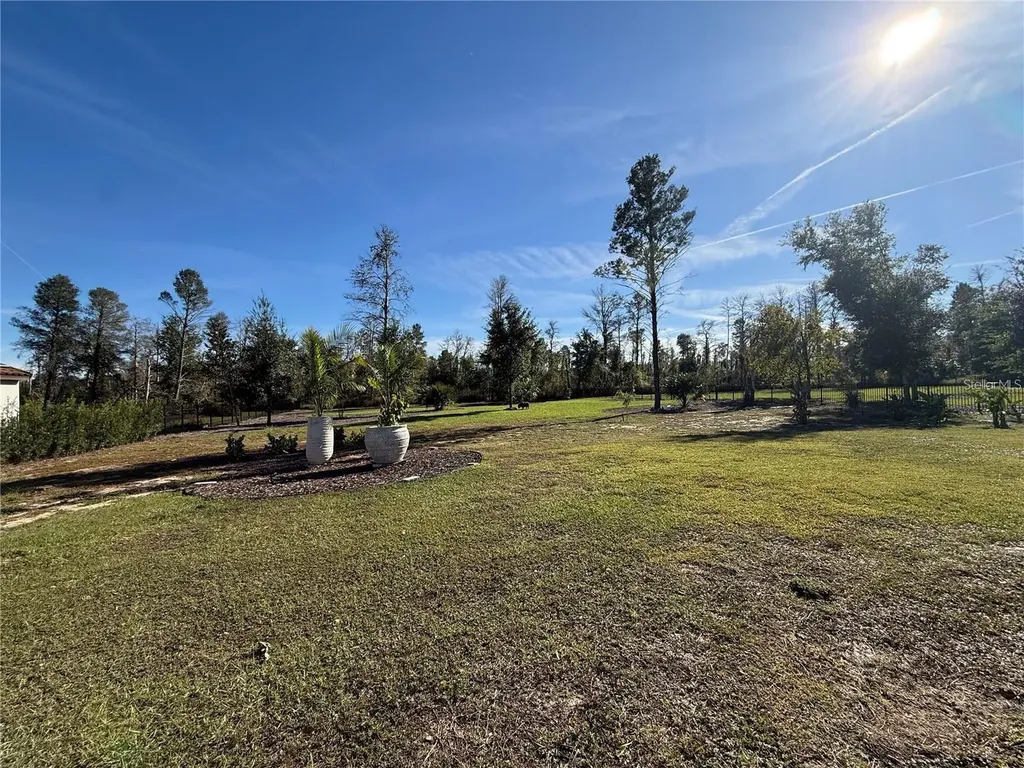 15210 Pendio Drive Montverde FL 34756