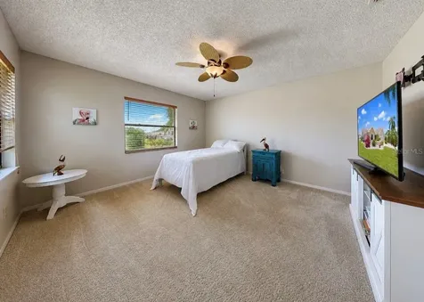 319 Linger Lane Sun City Center FL 33573
