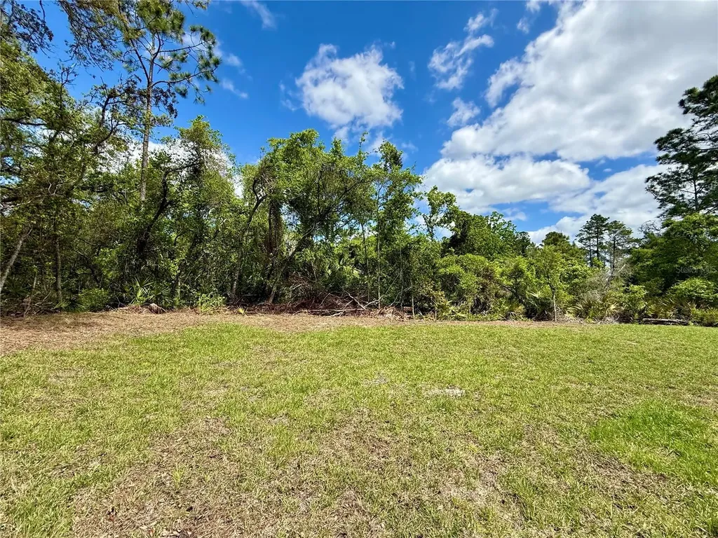 30165 W Bluebell Avenue Eustis FL 32736