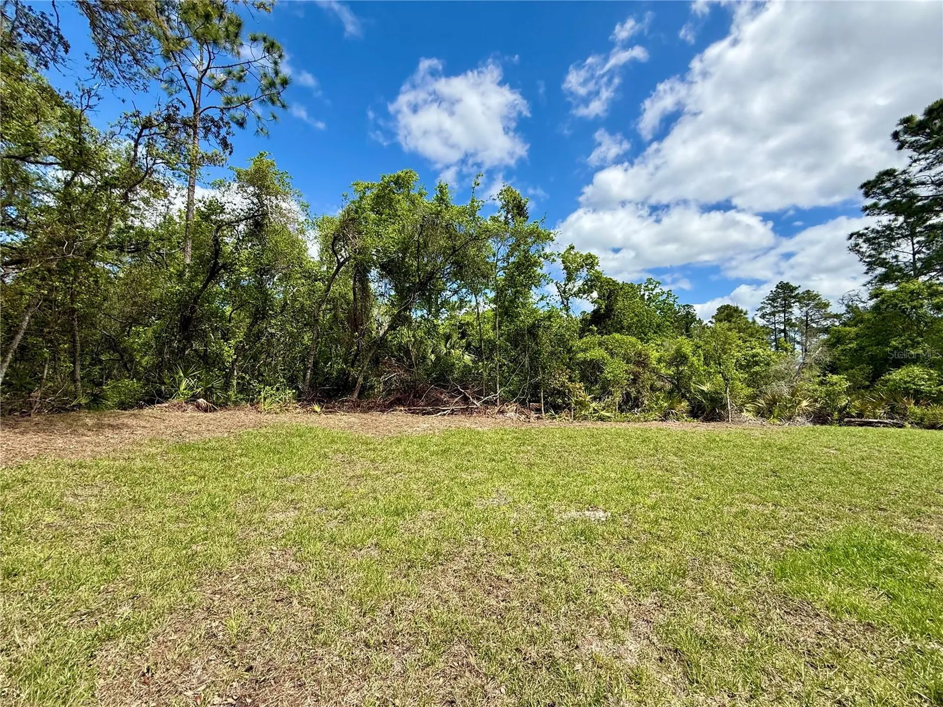 30165 W Bluebell Avenue Eustis FL 32736