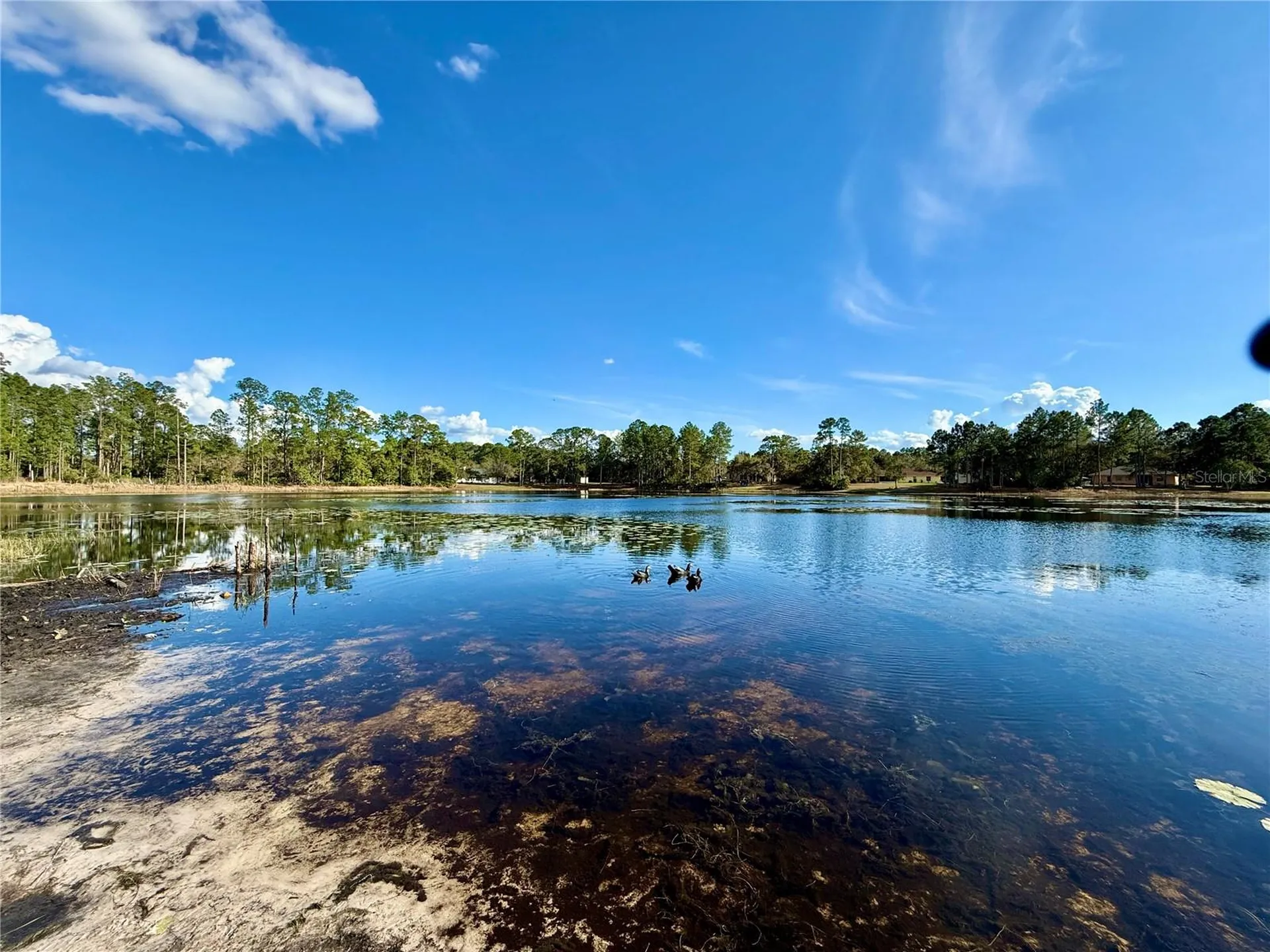 30165 W Bluebell Avenue Eustis FL 32736