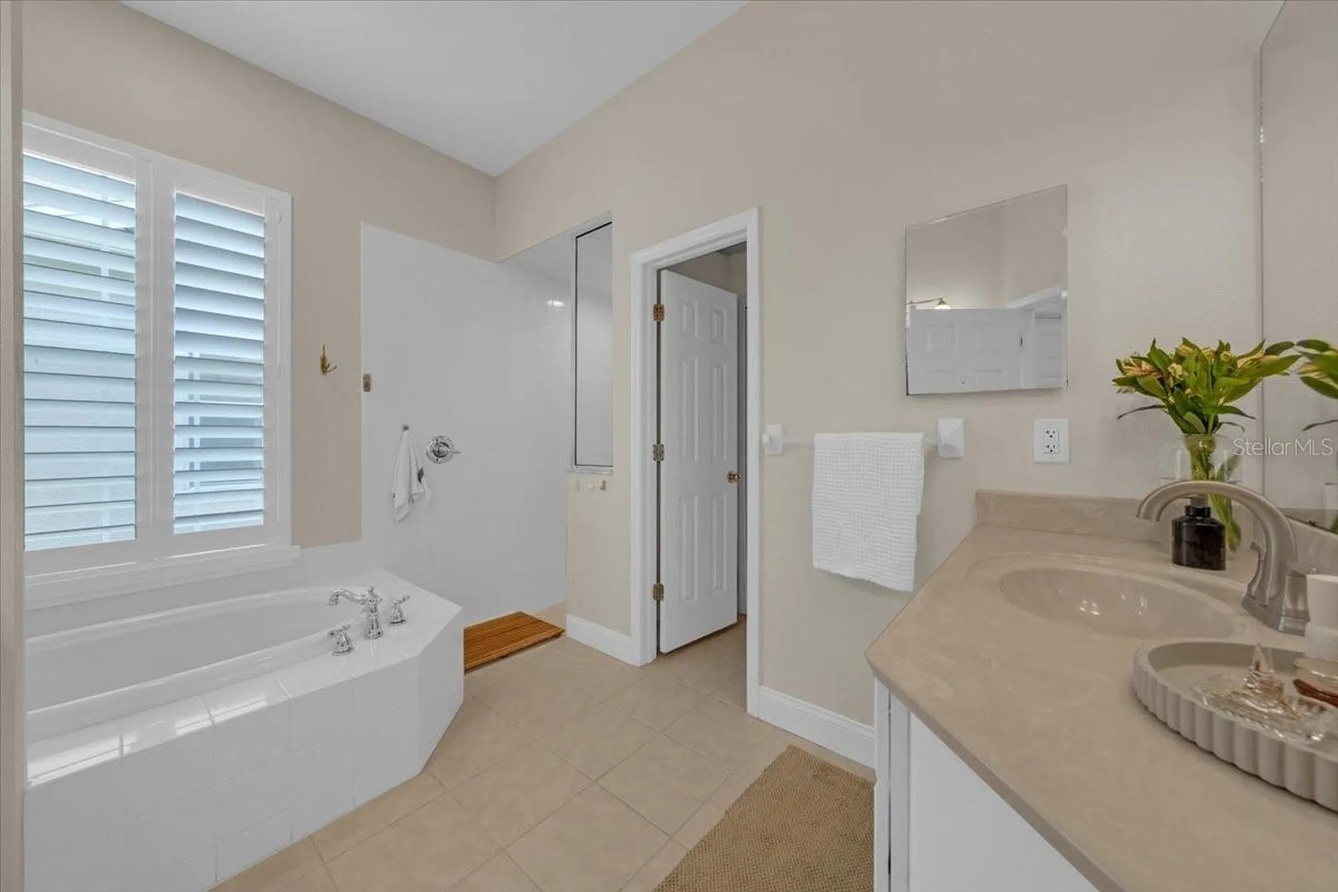 14639 Chatsworth Manor Circle Tampa FL 33626