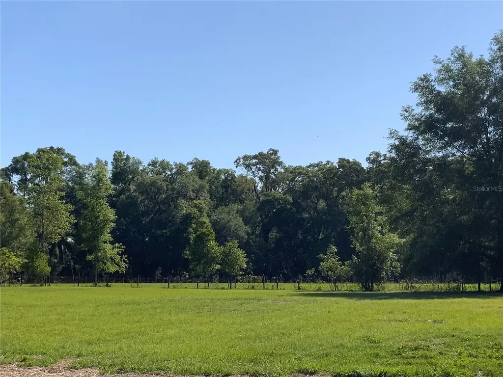 10919 NW 202nd Street Alachua FL 32615