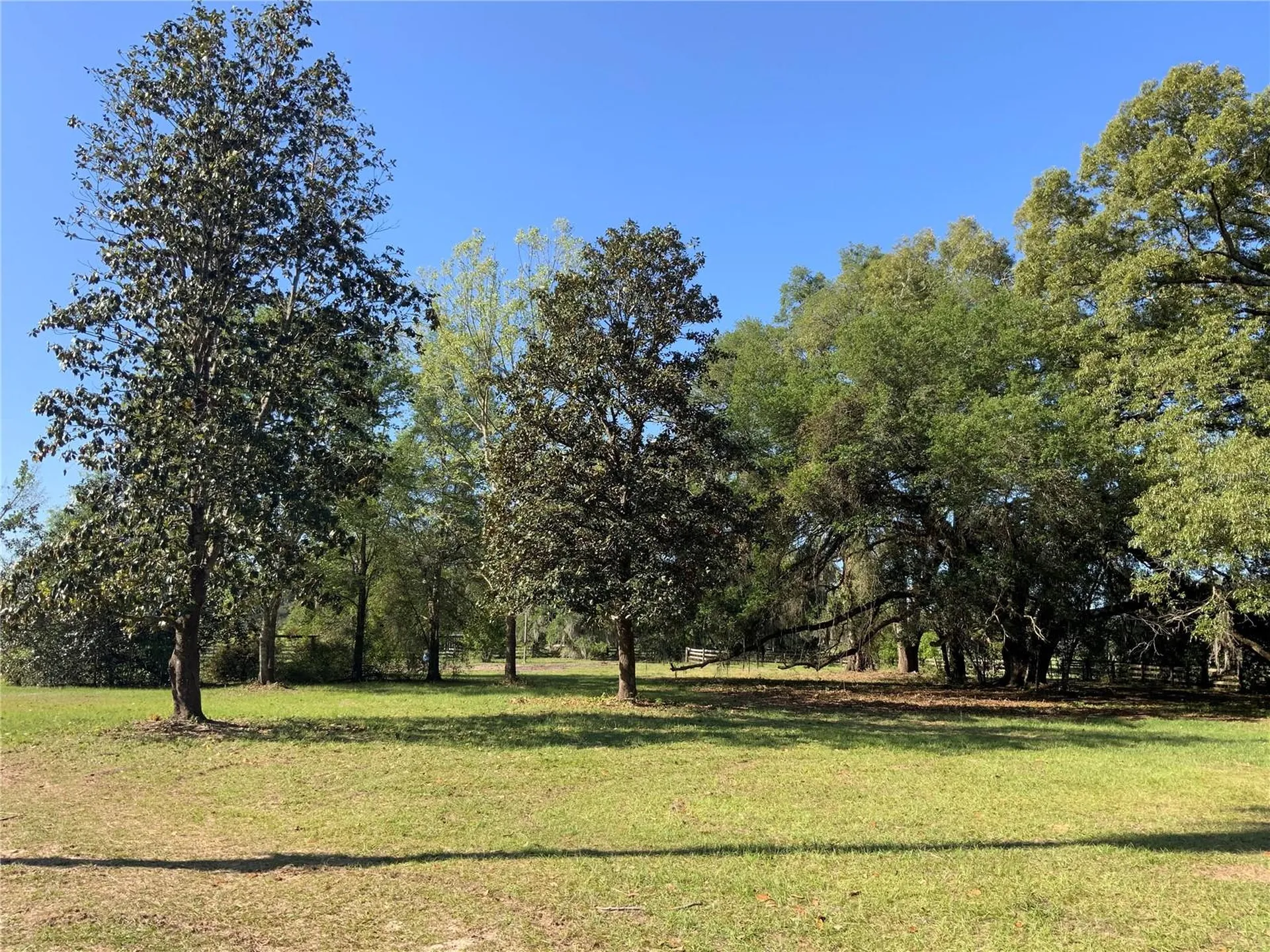 10919 NW 202nd Street Alachua FL 32615