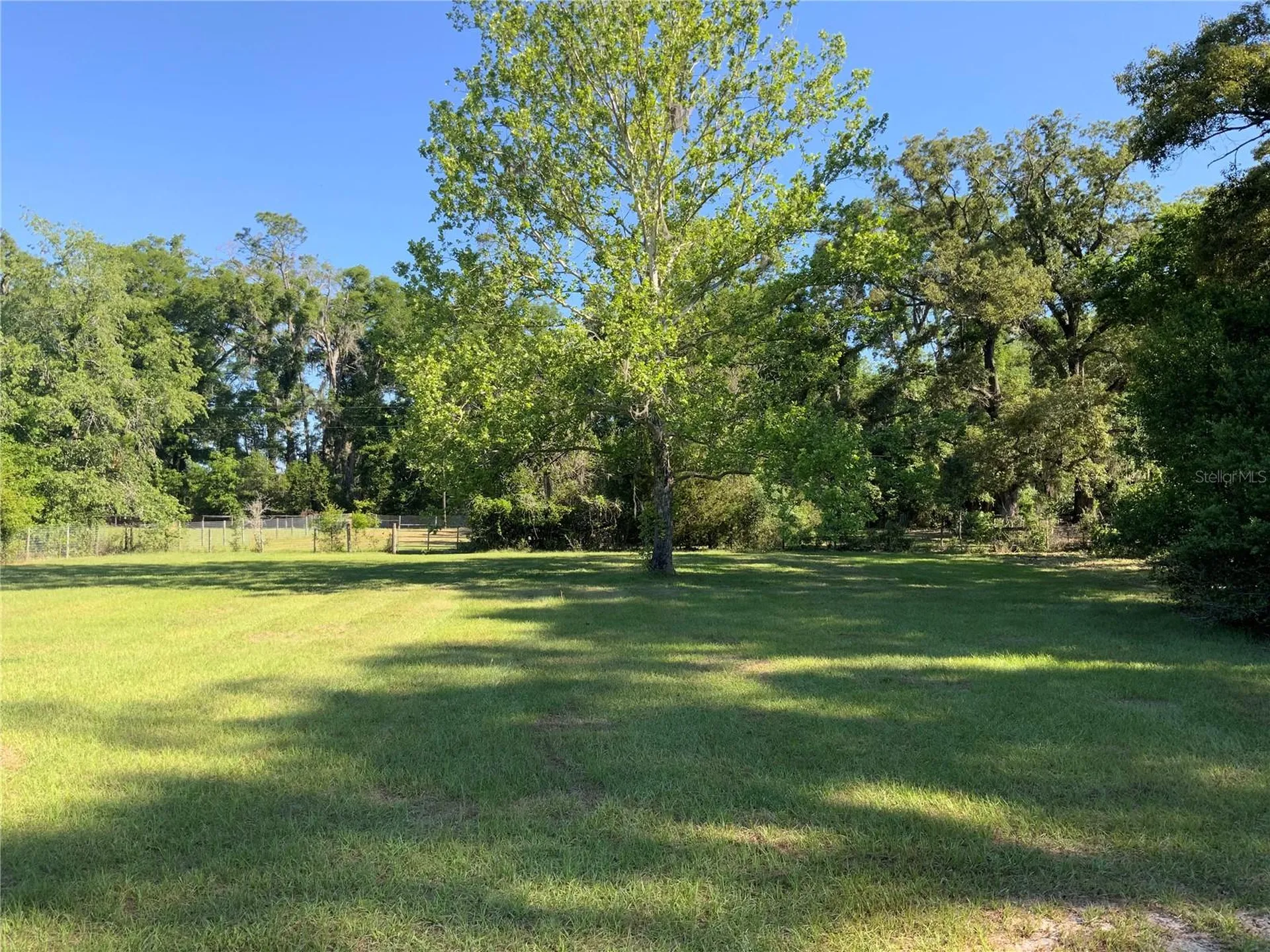 10919 NW 202nd Street Alachua FL 32615