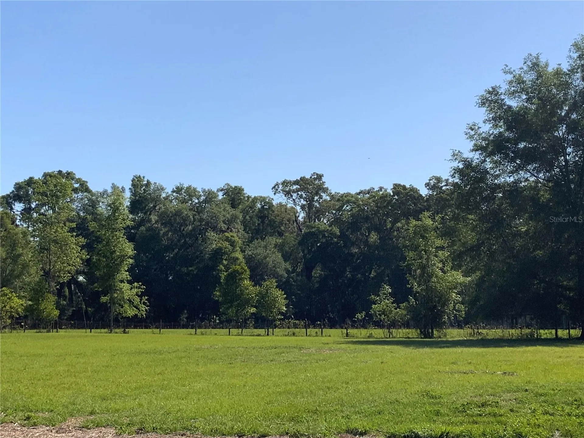 10919 NW 202nd Street Alachua FL 32615