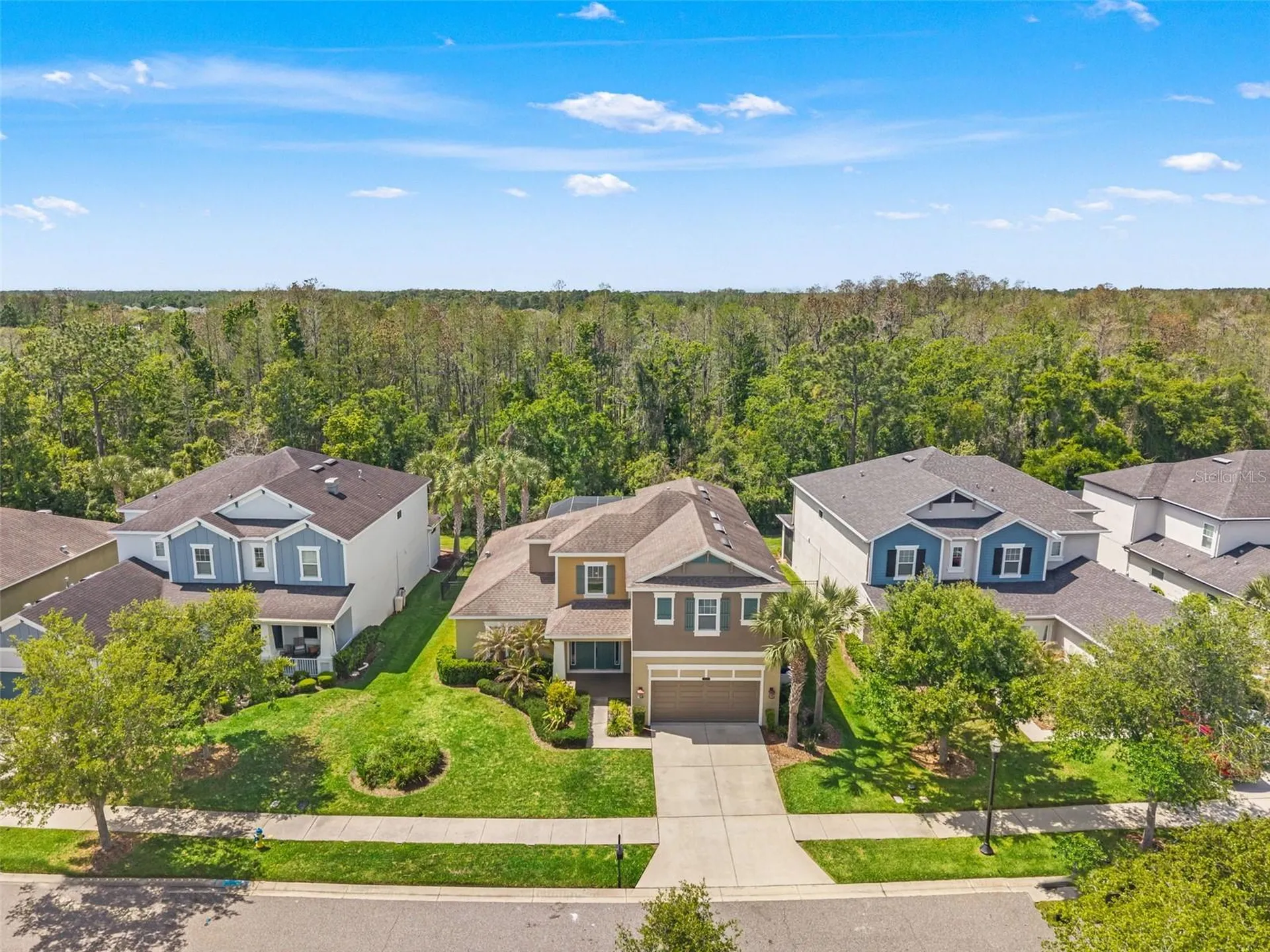 8853 Bella Vita Circle Land O Lakes FL 34637