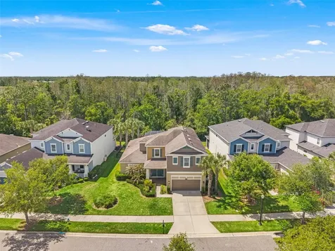 8853 Bella Vita Circle Land O Lakes FL 34637