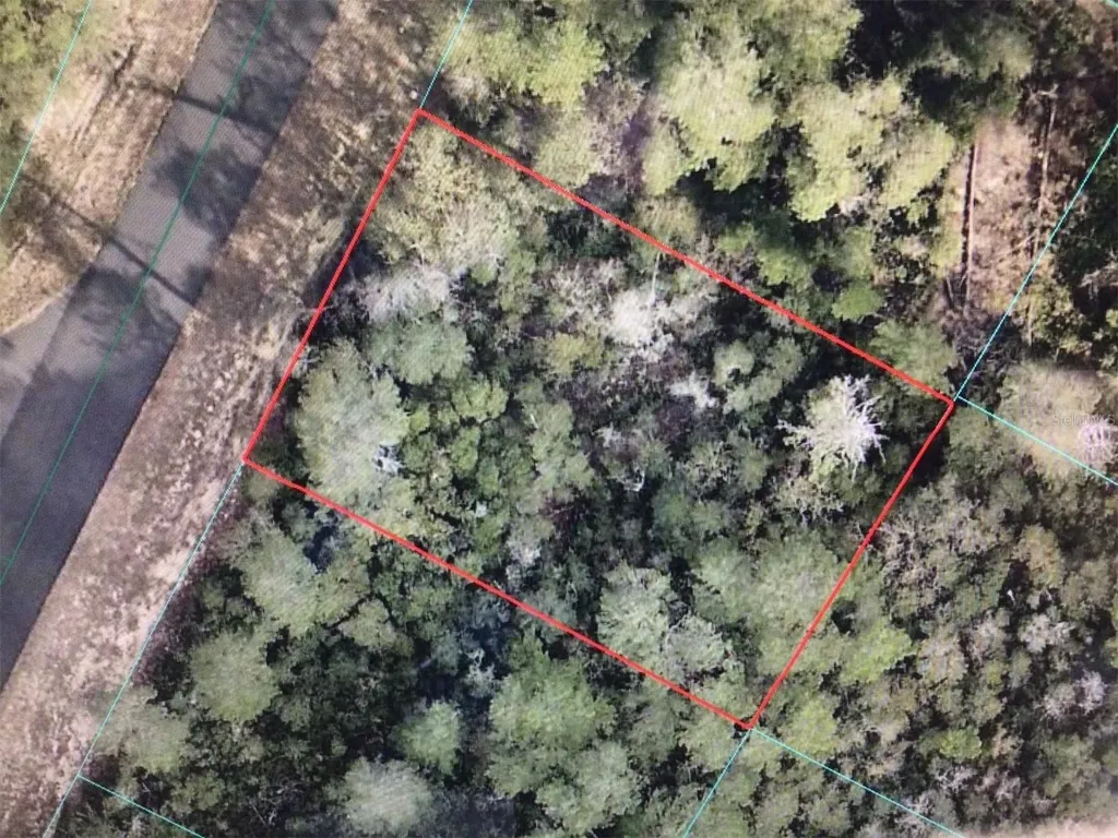 0 SW 169 Place Ocala FL 34473