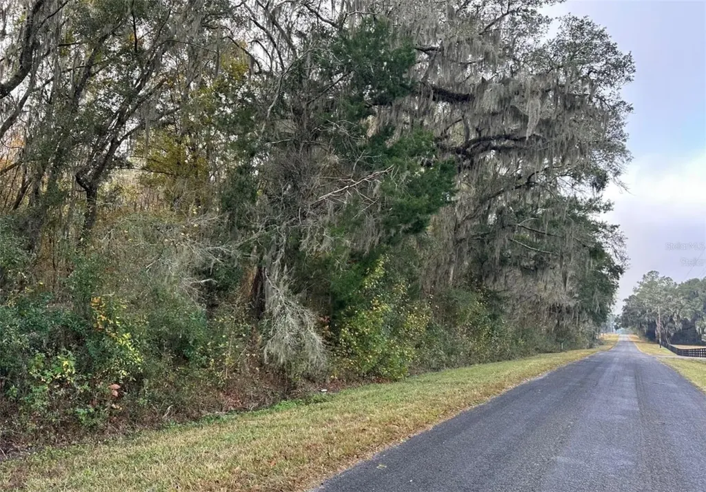 NW 160th Street Reddick FL 32686