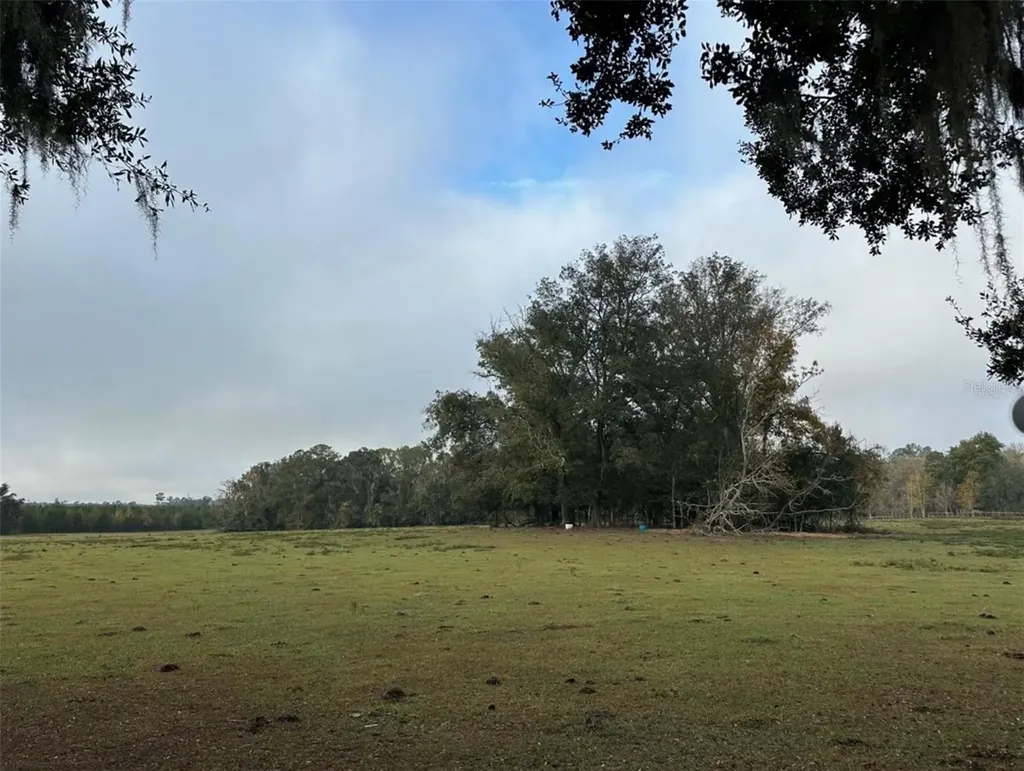 NW 160th Street Reddick FL 32686