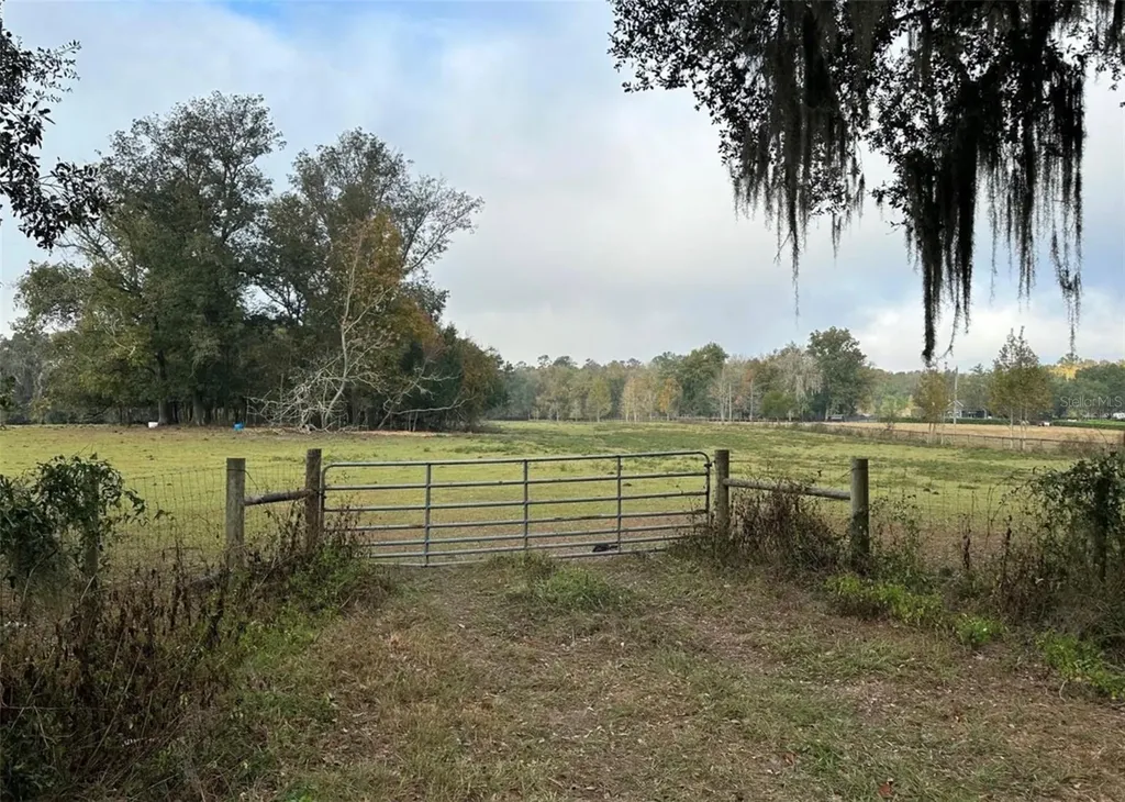 NW 160th Street Reddick FL 32686