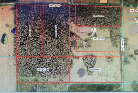 NW 160th Street Reddick FL 32686