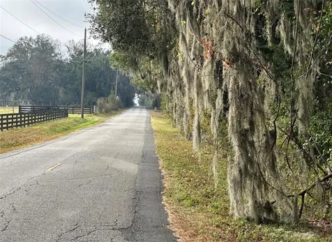 NW 160th Street Reddick FL 32686