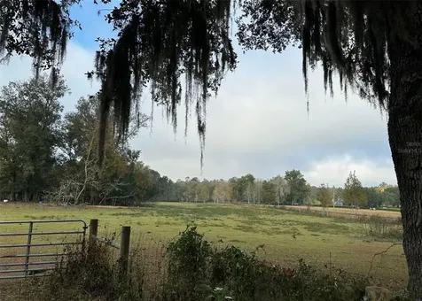 NW 160th Street Reddick FL 32686