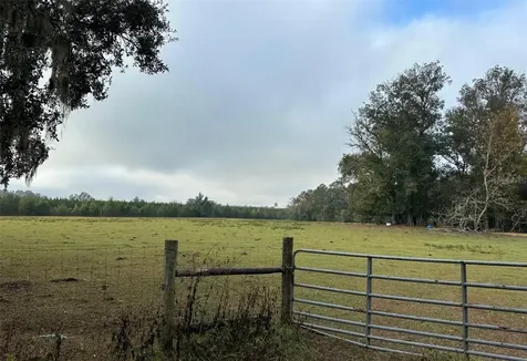 NW 160th Street Reddick FL 32686