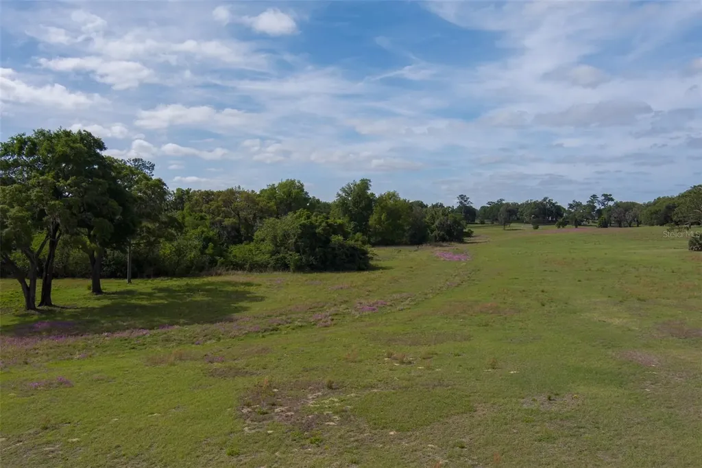Tbd SE 111th Place Ocala FL 34480