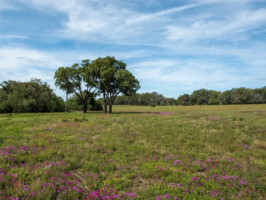 Tbd SE 111th Place Ocala FL 34480