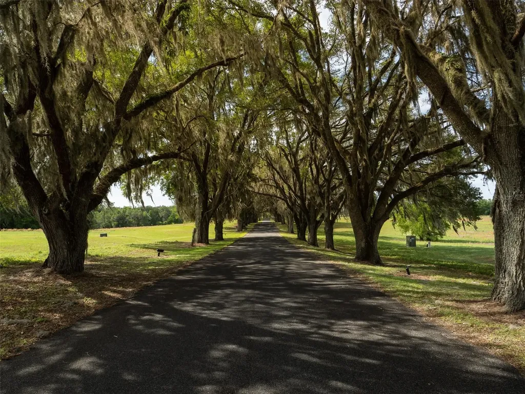 Tbd SE 111th Place Ocala FL 34480