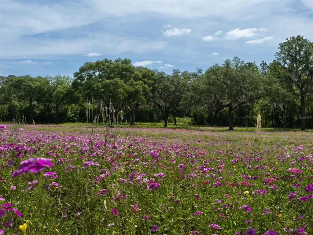 Tbd SE 111th Place Ocala FL 34480