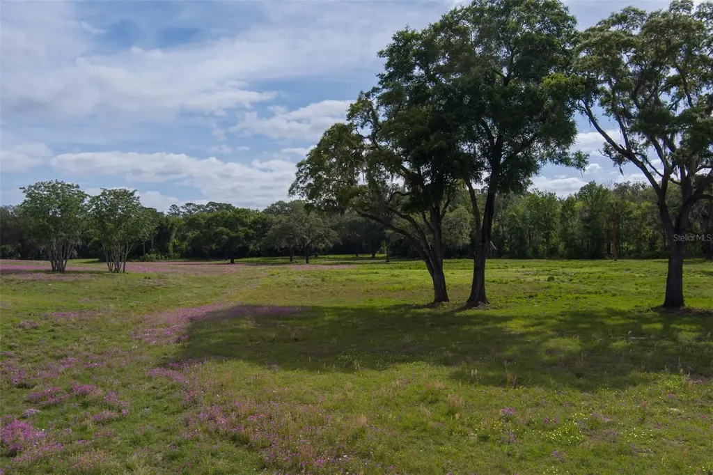 Tbd SE 111th Place Ocala FL 34480