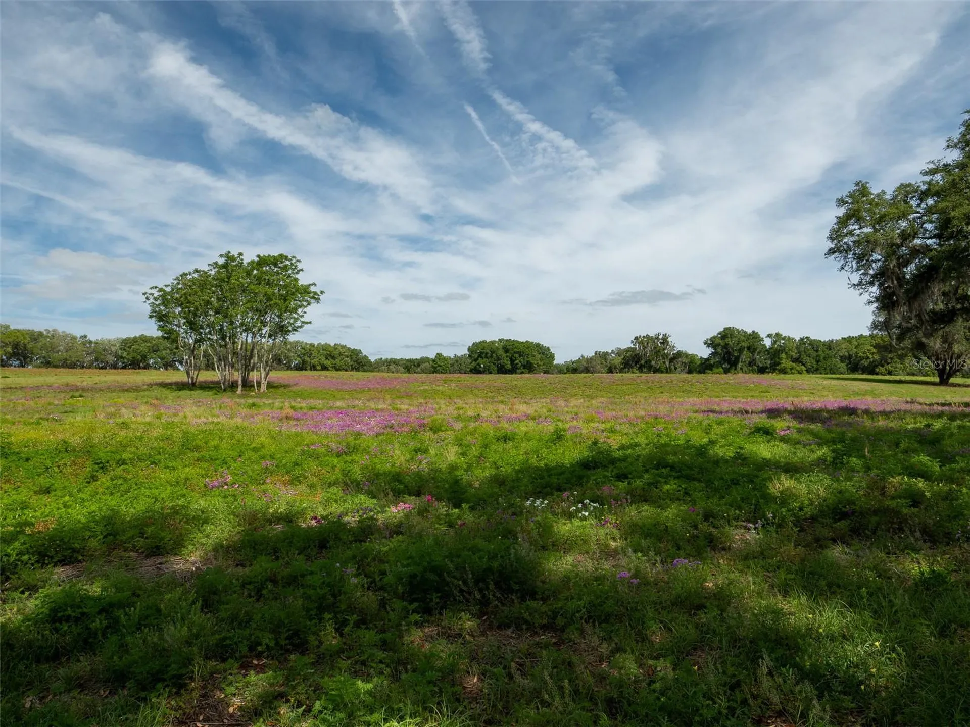 Tbd SE 111th Place Ocala FL 34480