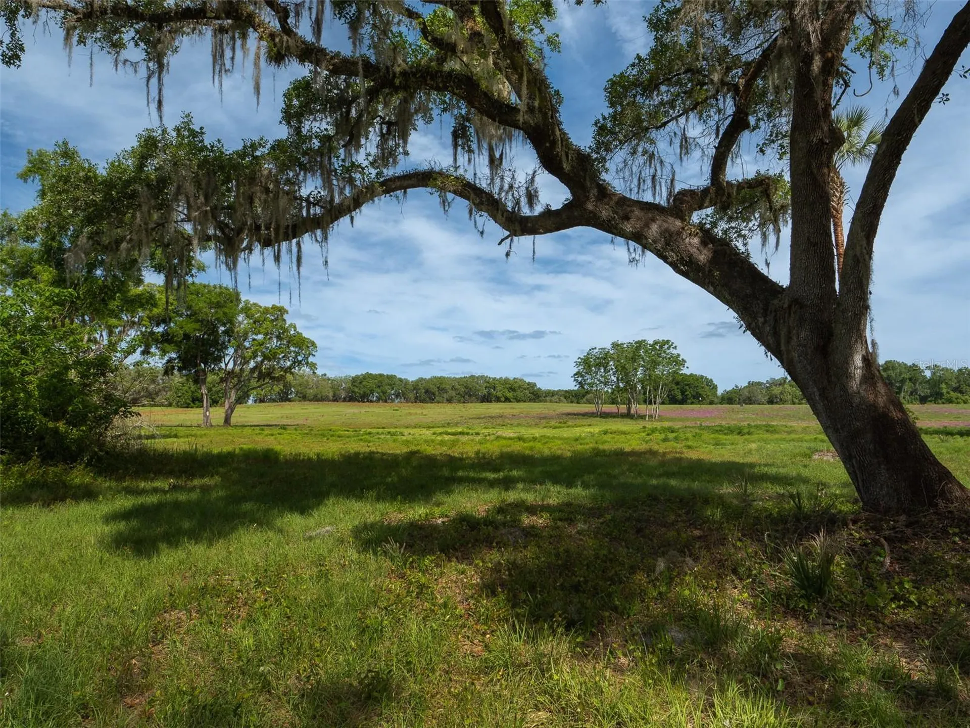 Tbd SE 111th Place Ocala FL 34480