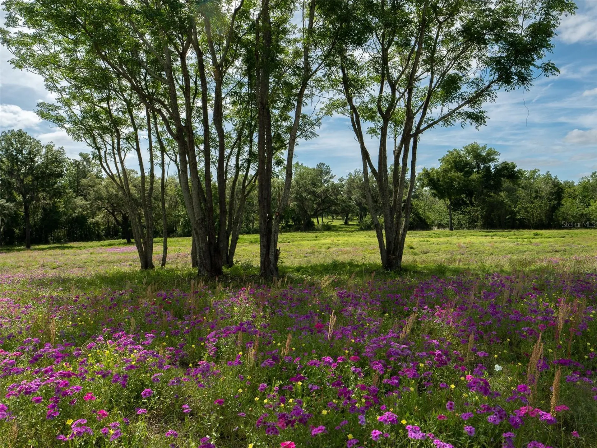 Tbd SE 111th Place Ocala FL 34480