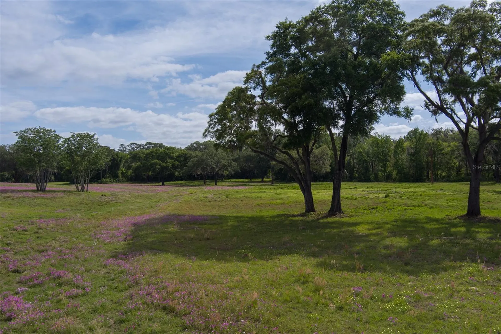 Tbd SE 111th Place Ocala FL 34480