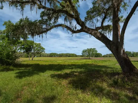 Tbd SE 111th Place Ocala FL 34480