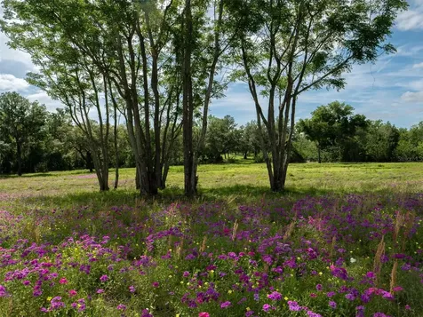 Tbd SE 111th Place Ocala FL 34480