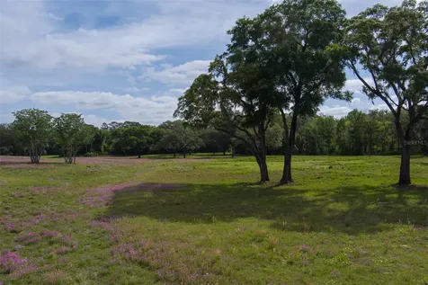 Tbd SE 111th Place Ocala FL 34480