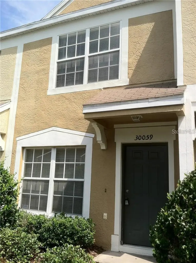 30059 Granda Hills Court Wesley Chapel FL 33543