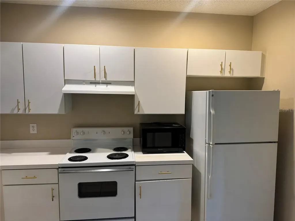 30059 Granda Hills Court Wesley Chapel FL 33543