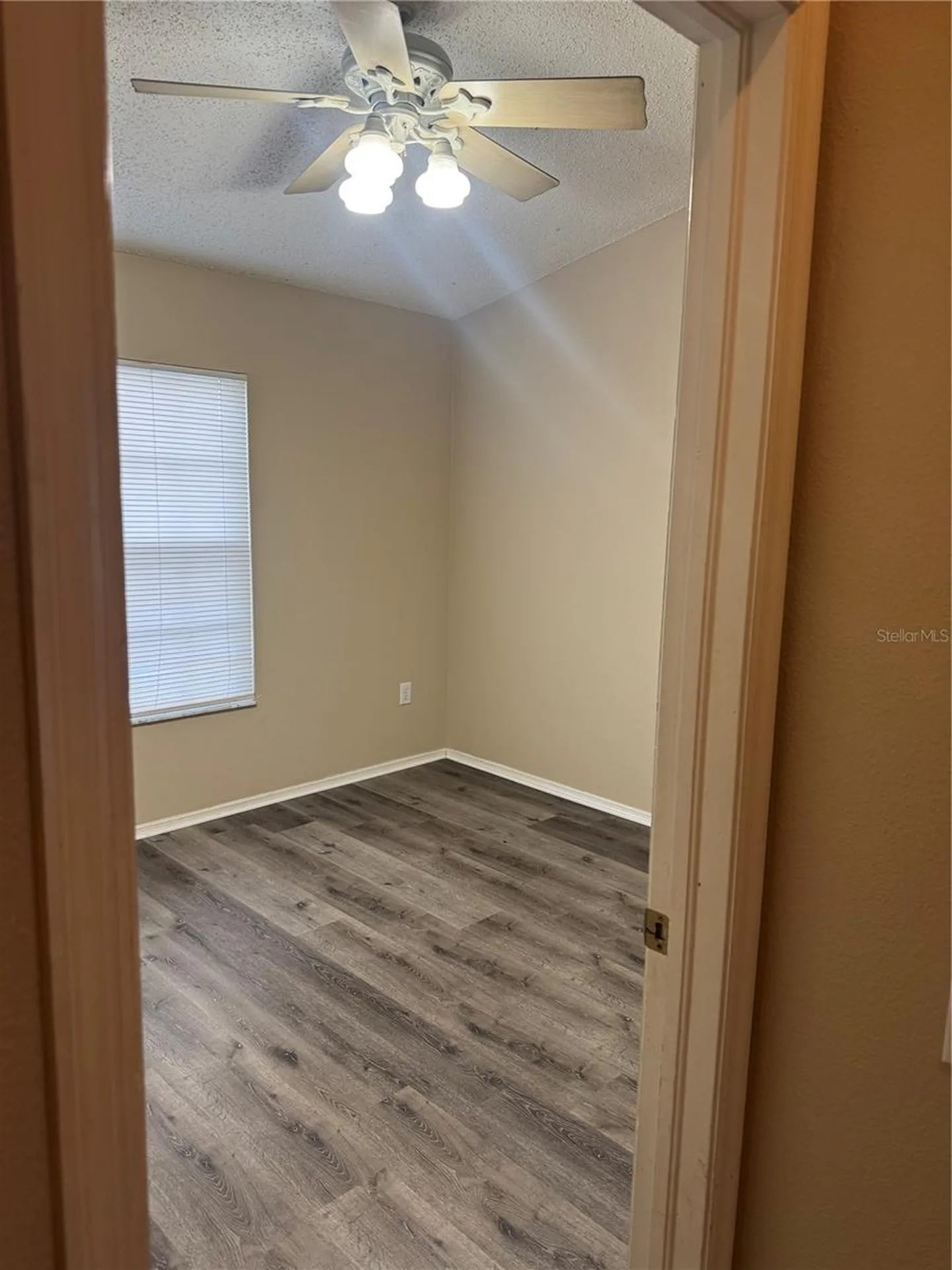 30059 Granda Hills Court Wesley Chapel FL 33543